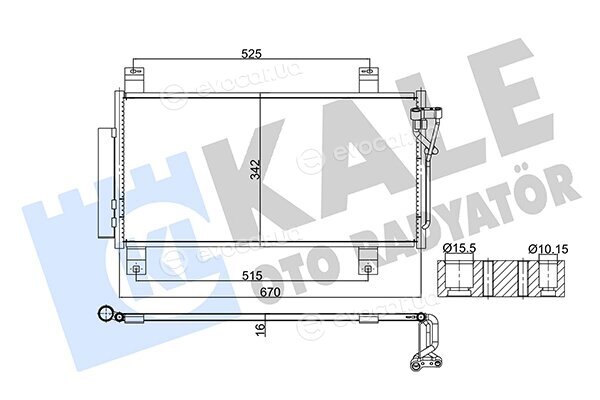 Kale 382510