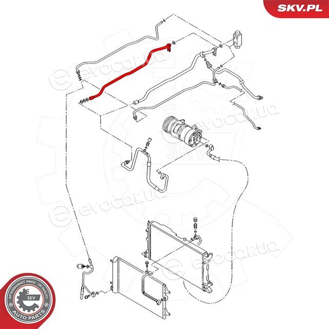 SKV 43SKV500