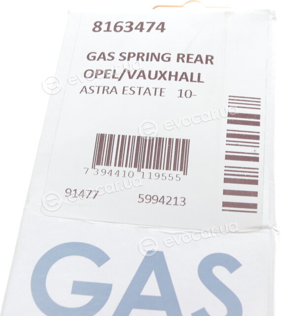 Lesjofors 8163474