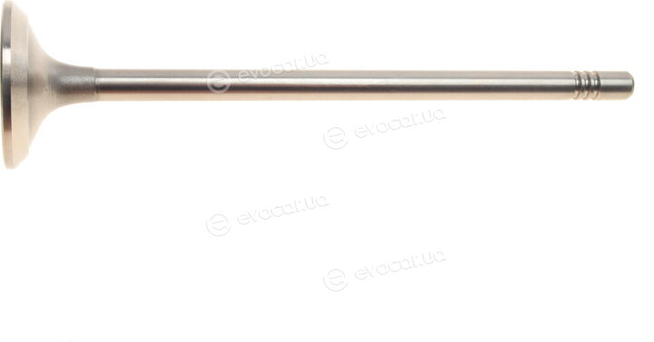 AMP PFIA161-S-0-N
