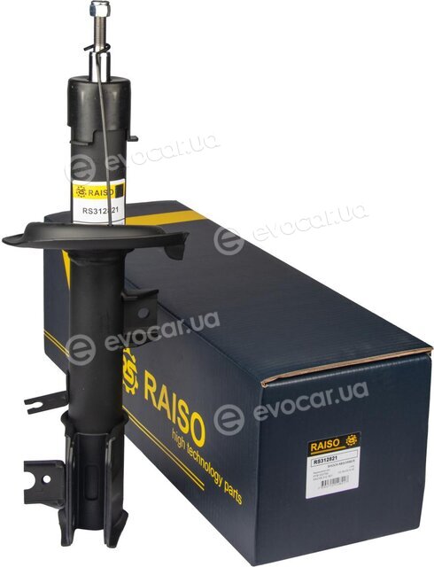Raiso RS312821