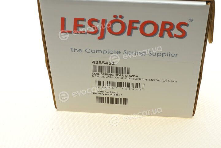 Lesjofors 4255452