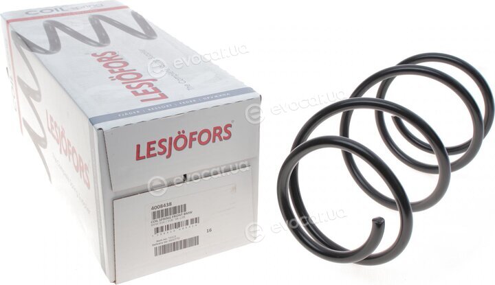 Lesjofors 4008438