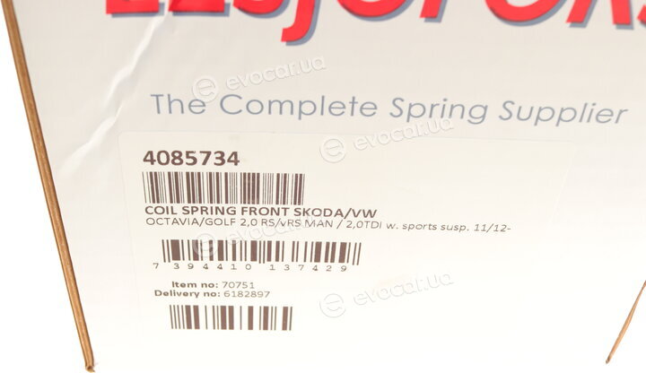 Lesjofors 4085734