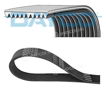 Dayco 10PK2017HD