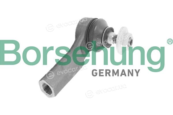 Borsehung B18704