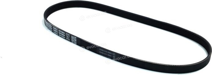 Dayco 5PK884
