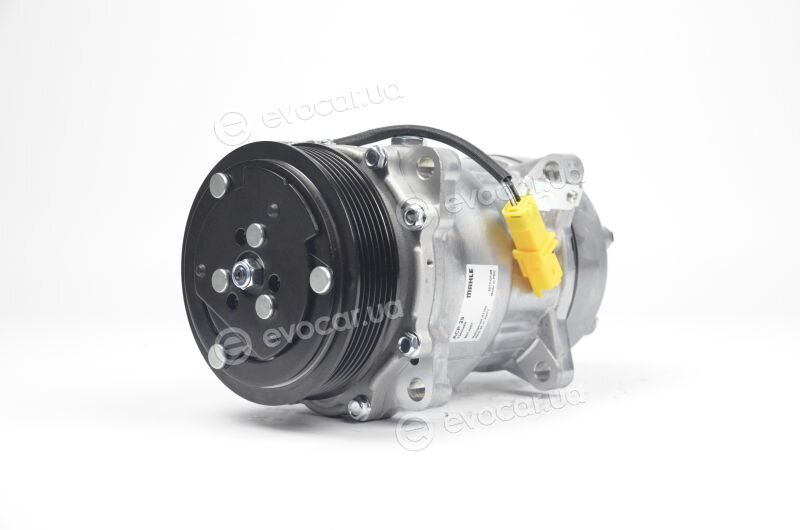 Mahle ACP 29 000S
