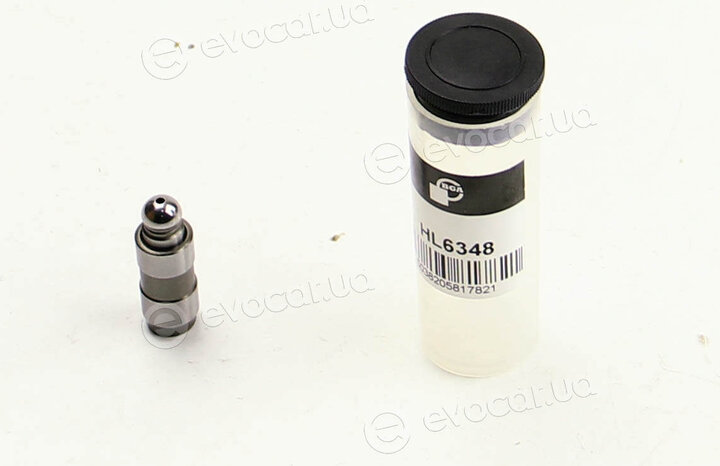 BGA HL6348