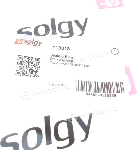 Solgy 113018