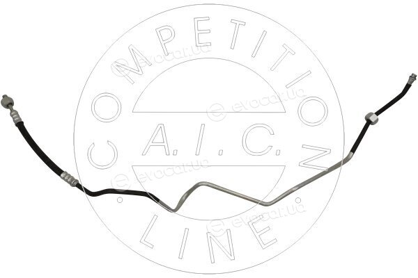 AIC 56919