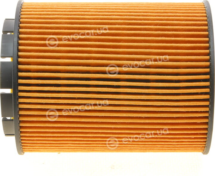Borsehung B10516