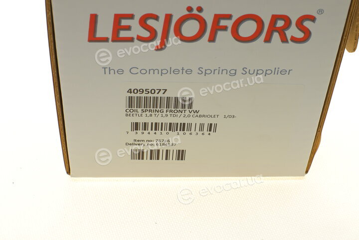 Lesjofors 4095077