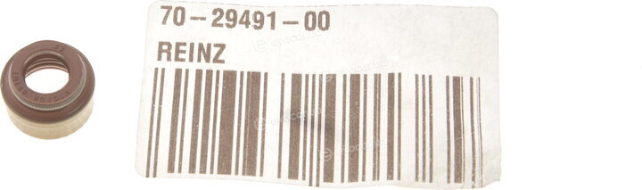 Victor Reinz 70-29491-00