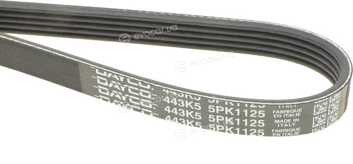 Dayco 5PK1125