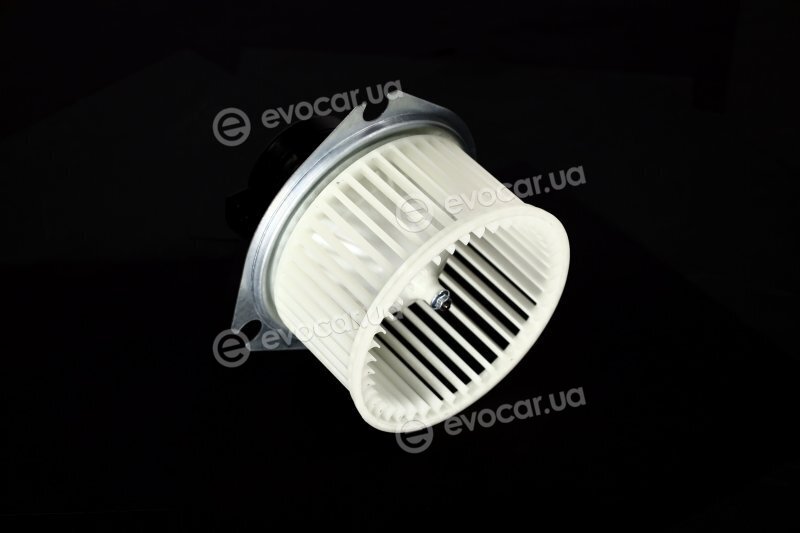 AVA DW8444