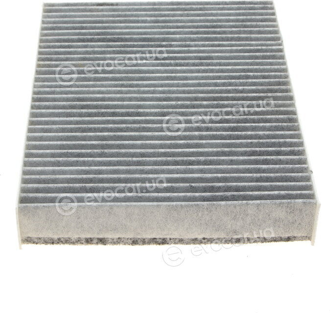 Solgy 104069