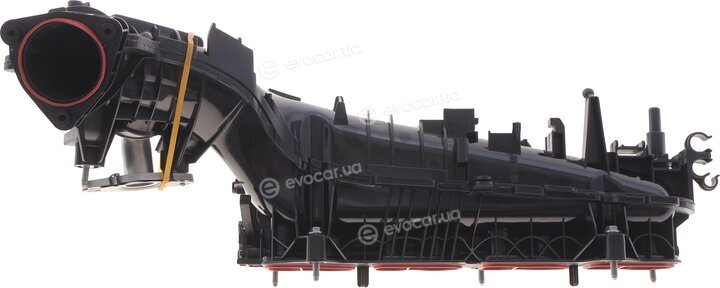 Solgy 114266