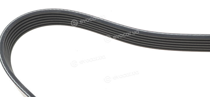 Dayco 6PK1485