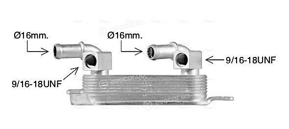 AVA OL3708