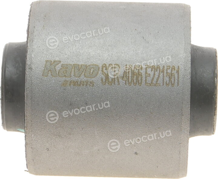 Kavo SCR-4066