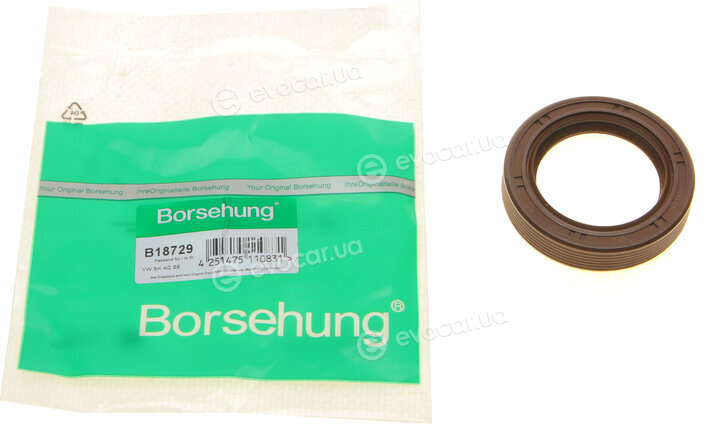 Borsehung B18729