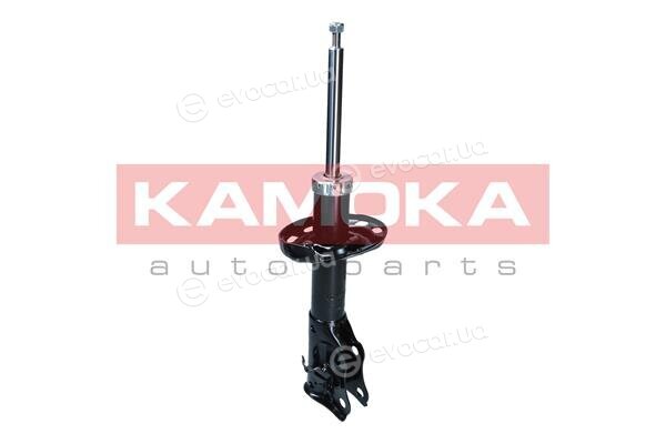 Kamoka 2001117
