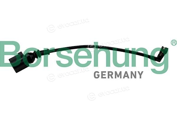 Borsehung B13276