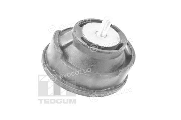 Tedgum TED12723