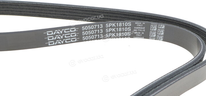 Dayco 5PK1810S