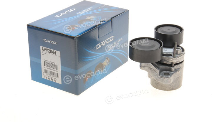 Dayco APV2844