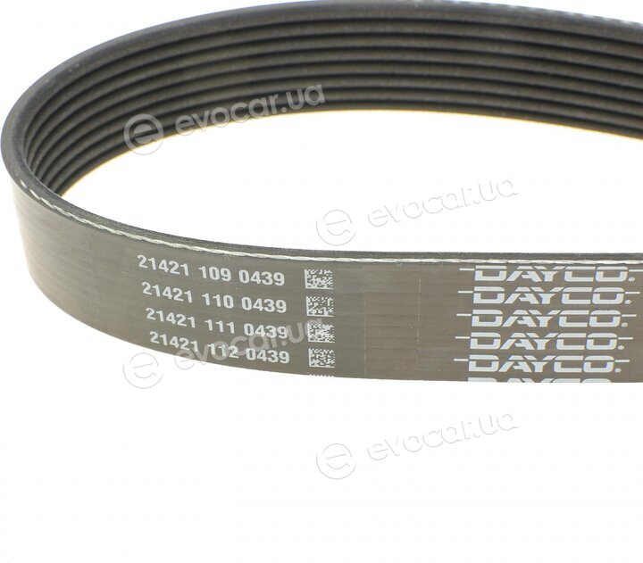 Dayco 8PK1295