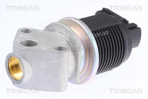 Triscan 8813 29009