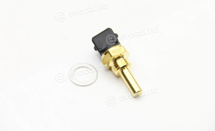 Vernet / Calorstat WS3020