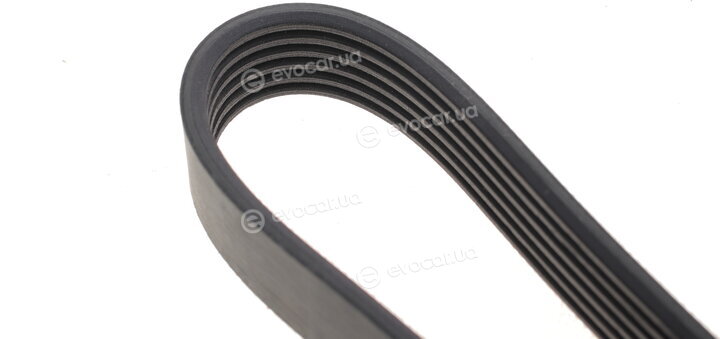 Dayco 6PK1538