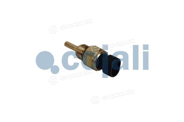 Cojali 2262054