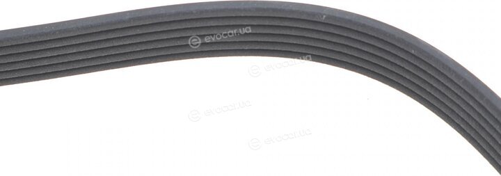 Dayco 6PK1606