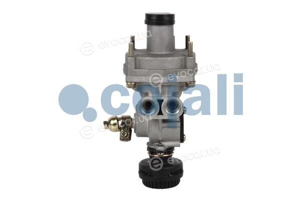 Cojali 2220349