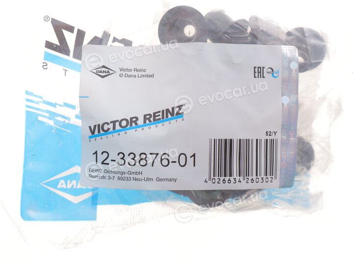 Victor Reinz 12-33876-01