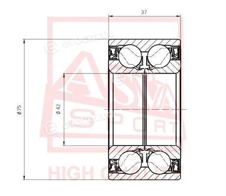 Asva DACM42750037