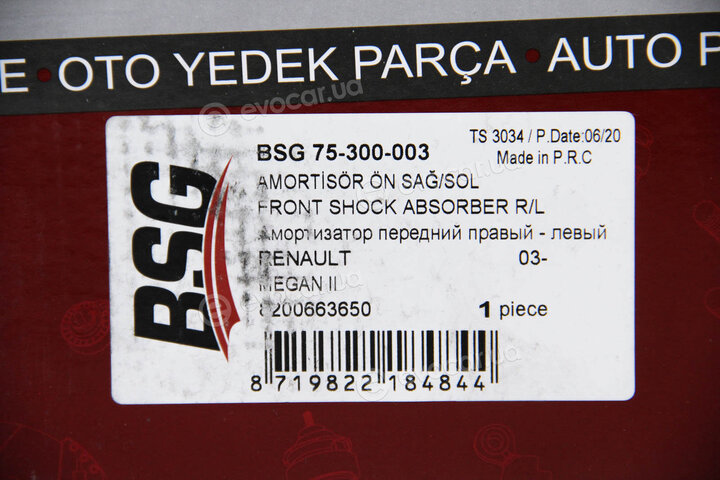 BSG BSG 75-300-003