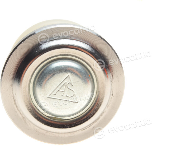 AS Metal 10RN5541