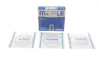 Mahle 021 RS 00113 0N0