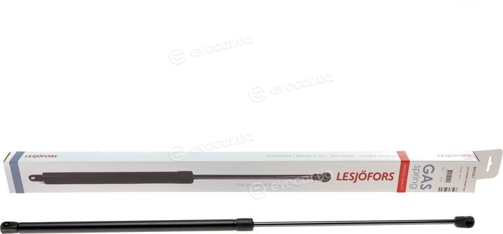 Lesjofors 8095027