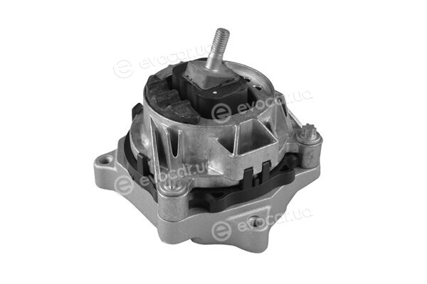Tedgum TED56344