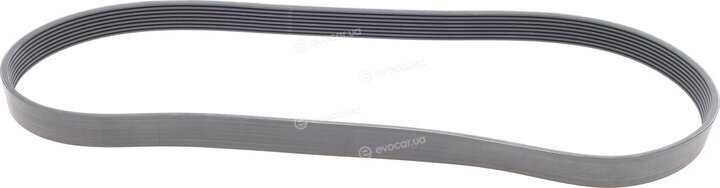 Continental 8PK1230