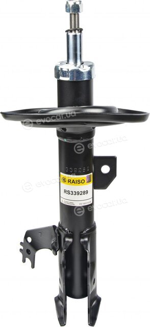 Raiso RS339289