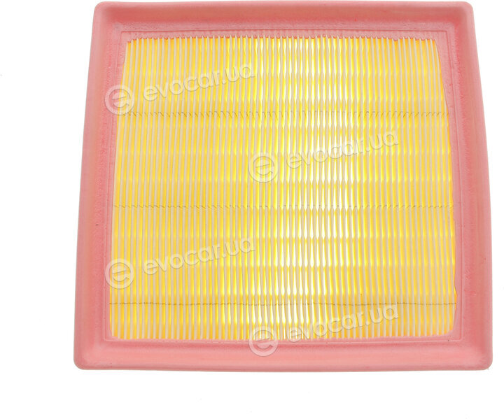 Solgy 103126