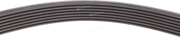 Continental 7DPK2950