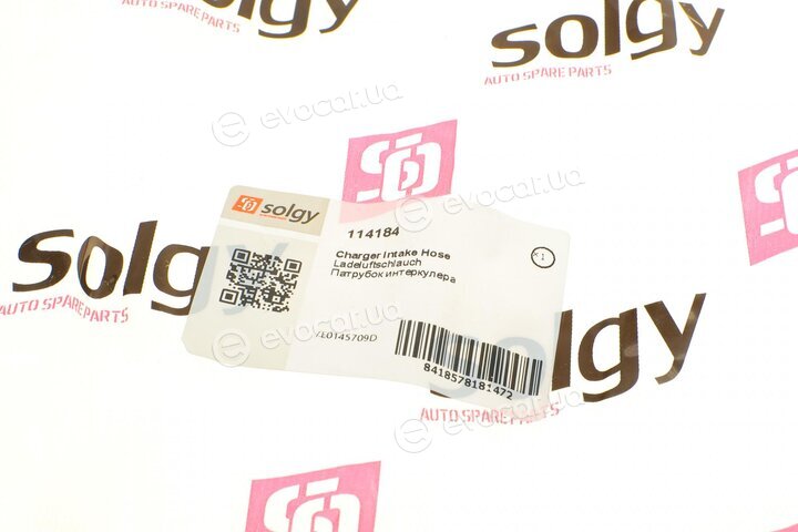 Solgy 114184